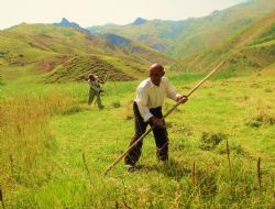 Doğu'da çayır biçimi tamamlandı